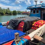 Pelabuhan Ikan di Bintan Timur Diduga Jadi Tempat Bongkar Muat Barang Ilegal Asal Batam