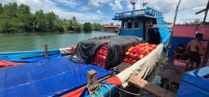 Pelabuhan Ikan di Bintan Timur Diduga Jadi Tempat Bongkar Muat Barang Ilegal Asal Batam