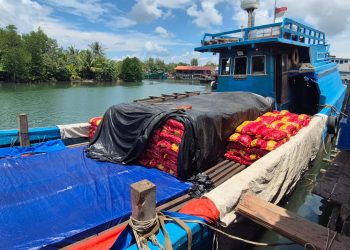 Pelabuhan Ikan di Bintan Timur Diduga Jadi Tempat Bongkar Muat Barang Ilegal Asal Batam