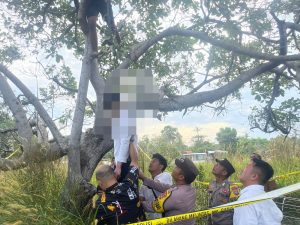 Seorang Pria Ditemukan Tewas Gantung Diri di Pohon Jambu Mente Jalan Raya Kawal Bintan