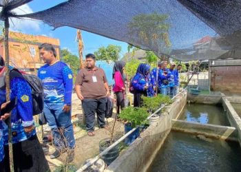Apmikimmdo Budidaya Ikan Air Tawar Bentuk Ketahanan Pangan di Karimun.