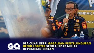 Bea Cukai Kepri Gagalkan Penyeludupan Benih Lobster Senilai Rp 28 Miliar di Perairan Bintan