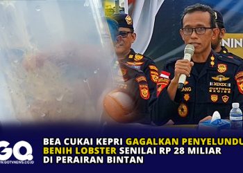 Bea Cukai Kepri Gagalkan Penyeludupan Benih Lobster Senilai Rp 28 Miliar di Perairan Bintan