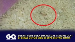 Bupati Roby Buka Suara Soal Temuan Ulat di Beras untuk MBG di SPPG Bintan Timur