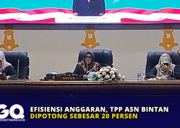 Efisiensi Anggaran, TPP ASN Bintan Dipotong Sebesar 20 Persen