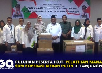Puluhan Peserta Ikuti Pelatihan Manajemen SDM Koperasi Merah Putih di Tanjungpinang