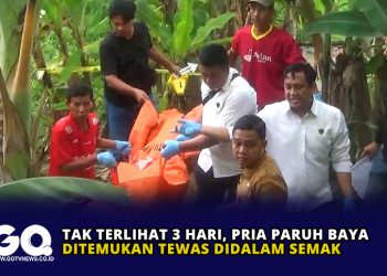 Budi Arie Sebut Projo Bukan Singkatan dari Pro Jokowi