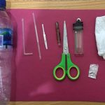 Tengah Asik Nyabu Diruang Kerja, Oknum Camat di Anambas Ditangkap Polisi