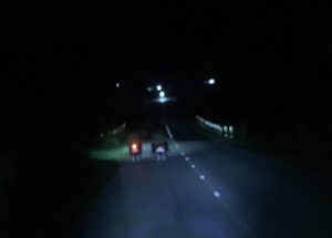 Warga Keluhkan Gelapnya Jalan Nusantara KM 20 Saat Malam Hari