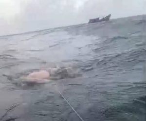 Nelayan Temukan Mayat Laki-Laki Mengapung Diperairan Berakit Bintan