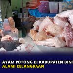 Ayam Potong di Kabupaten Bintan Alami Kelangkaan