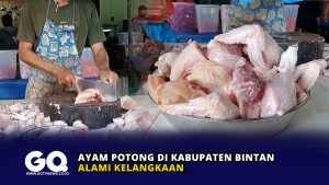 Ayam Potong di Kabupaten Bintan Alami Kelangkaan