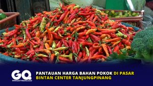Pantauan Harga Bahan Pokok di Pasar Bintan Center Tanjungpinang