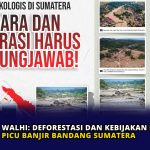 WALHI: Deforestasi dan Kebijakan Iklim Lemah Picu Banjir Bandang Sumatera