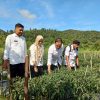Pemda Karimun Jamin Stok Bahan Pokok Aman Hingga Awal Tahun 2026