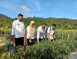 Pemda Karimun Jamin Stok Bahan Pokok Aman Hingga Awal Tahun 2026