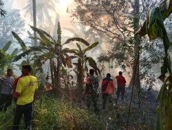 1 Hektar Lahan di Teluk Bakau Terbakar, Warga dan Petugas Berjibaku Memadamkan Api