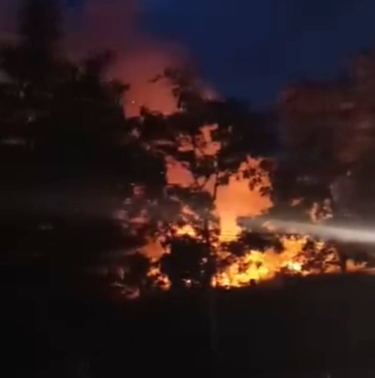 Kabakaran Lahan di Kawasan Perumaha Air Raja Tanjungpinang, Diduga dari Sisa Bakar Sampah.