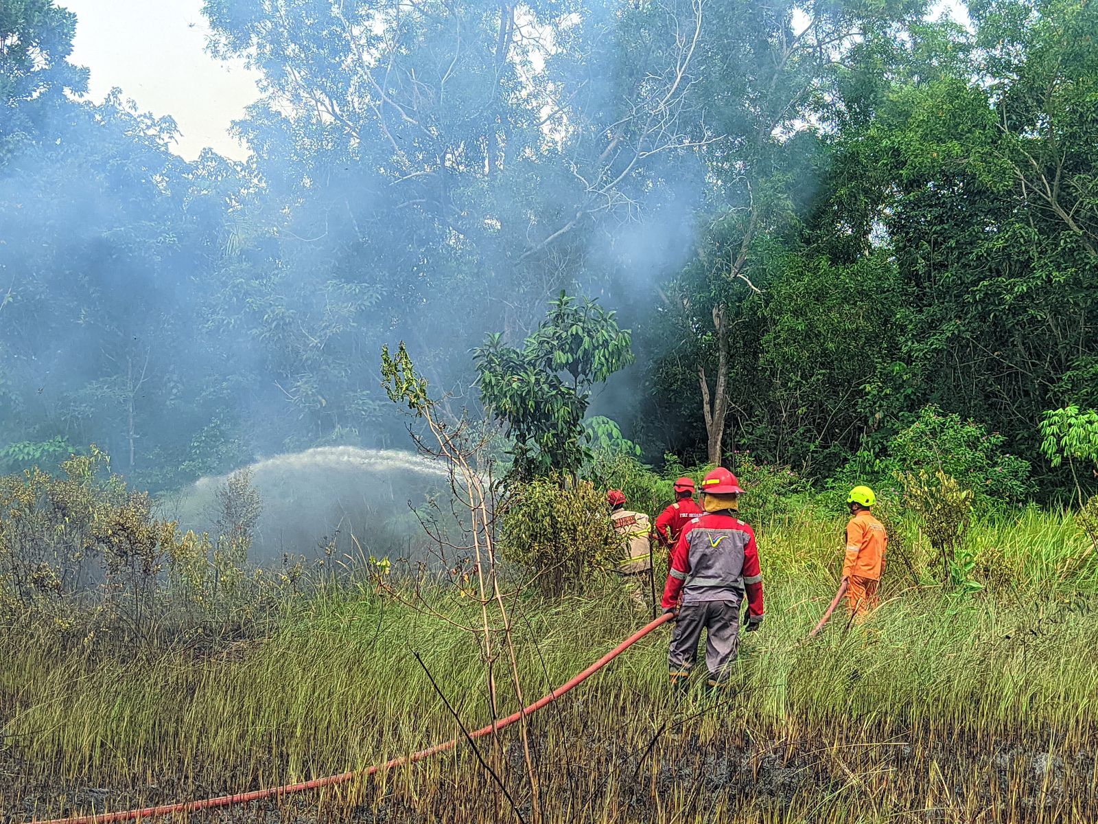 BPBD: Karhutla Berulang di Karimun Akibat Pembakaran Lahan untuk Perbersihan.