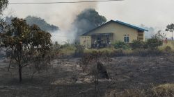 Kebakaran Lahan di Teluk Bakau Bintan Nyaris Hanguskan Rumah dan Warung Warga.