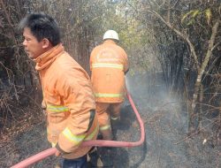 Kembali Terjadi, Kebakaran Lahan di Wilayah Senggarang Seluas Dua Hektare