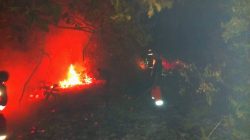 Lahan Seluar 1,5 Hektar di Pulau Penyengat Terbakar