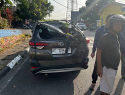 Satu Unit Mobil Terios Tertimpa Pohon Tumbang, Dipastikan Tidak Ada Korban Jiwa
