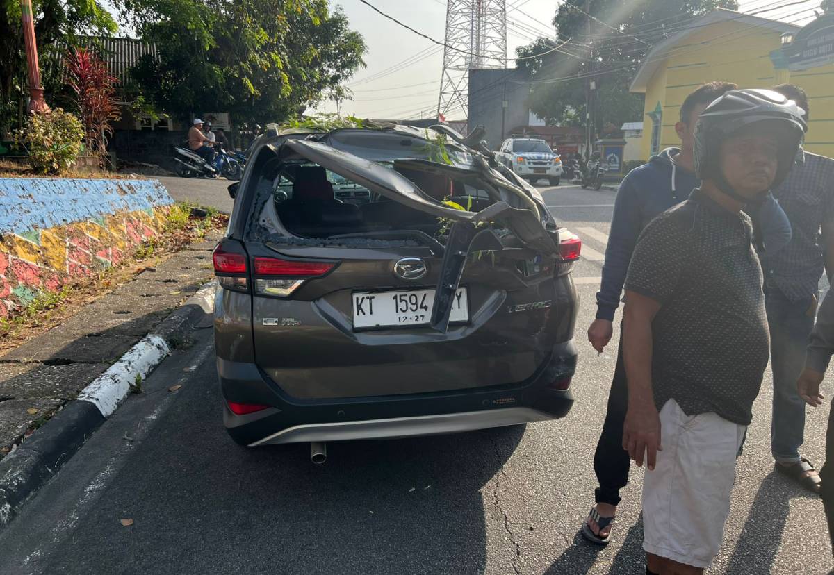 Satu Unit Mobil Terios Tertimpa Pohon Tumbang, Dipastikan Tidak Ada Korban Jiwa.