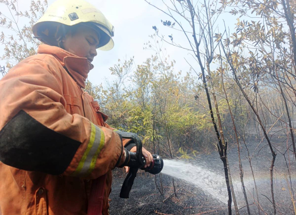 Damkar Tanjungpinang Catat Ada 42 Kasus Karhutla Awal 2026, Terbanyak di Dompak dan Senggarang.