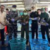 Ekspor Perdana 2026, 8,3 ton Ikan asal Natuna tembus ke Hong Kong
