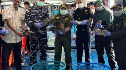 Ekspor Perdana 2026, 8,3 ton Ikan asal Natuna tembus ke Hong Kong.