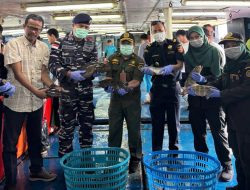 Ekspor Perdana 2026, 8,3 ton Ikan asal Natuna tembus ke Hong Kong