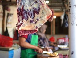 Harga Daging Sapi di Tanjungpinang Tembus Rp160 Ribu per Kilogram