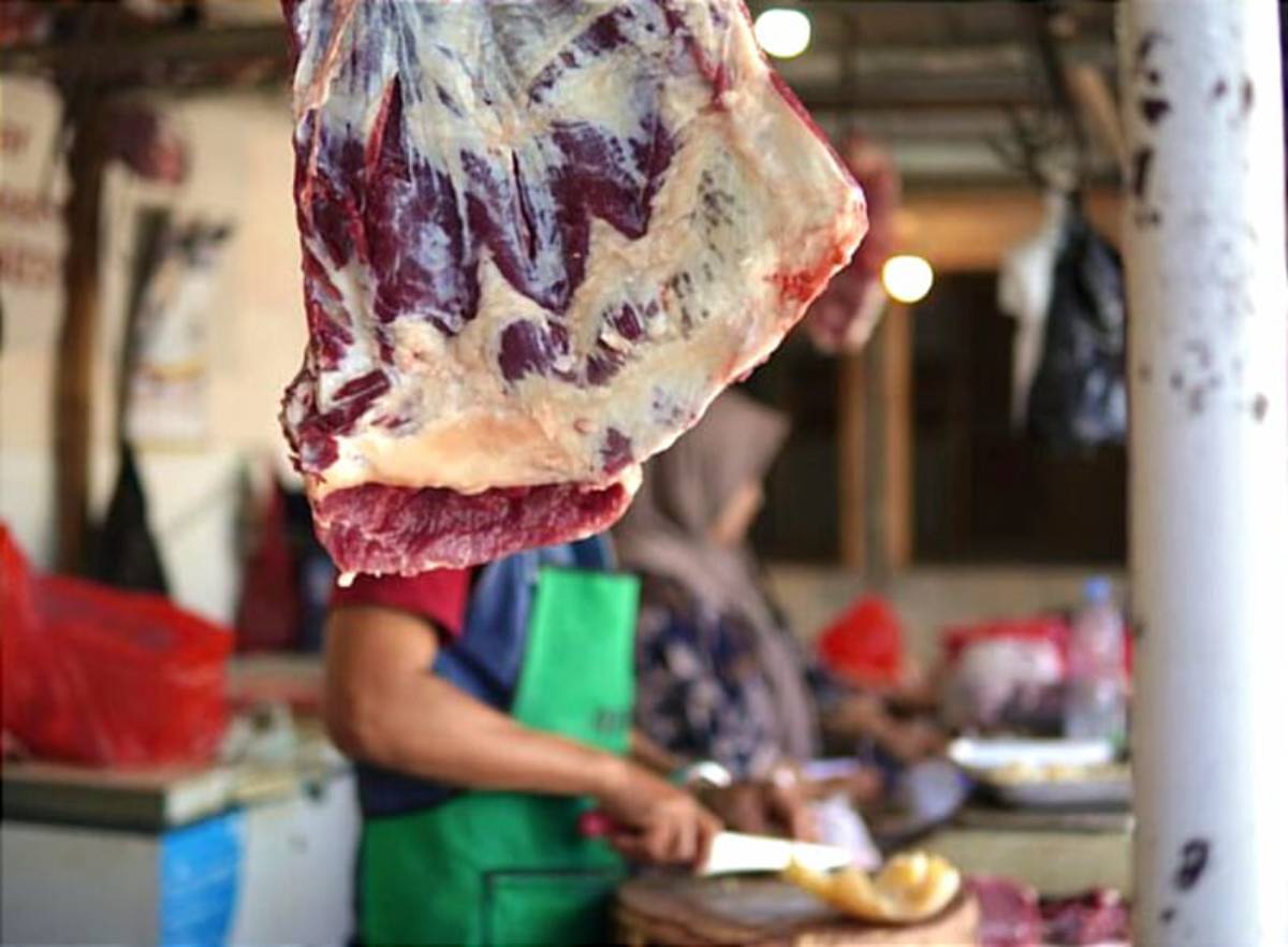 Harga Daging Sapi di Tanjungpinang Tembus Rp160 Ribu per Kilogram.