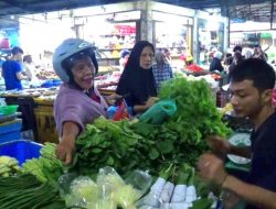 Harga Sayuran dan Cabai Naik di Tanjungpinang, Disdagin Bakal Gelar Pasar Murah Pada 4 Maret