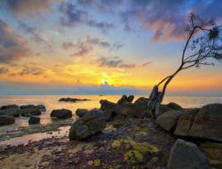 Kanwil Kemenag Kepri Pantau Rukyatul Hilal Ramadan di Pantai Setumu Sore Ini