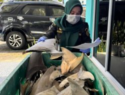 Karantina Kepri Terbitkan Sertifikat KI-2 untuk 34 Kg Sirip Hiu Asal Natuna Tujuan Surabaya