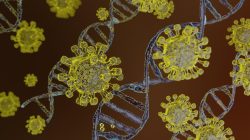 Dinkes Kepri Pastikan Belum Ada Kasus Virus Nipah, Masyarakat Diminta Tetap Waspada.