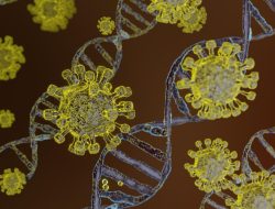 Dinkes Kepri Pastikan Belum Ada Kasus Virus Nipah, Masyarakat Diminta Tetap Waspada