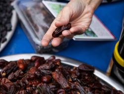 BPS RI Catat Impor Kurma Januari 2026 Tembus 16,58 Ribu Ton