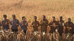 Bupati Iskandarsyah Apresiasi Kerja Keras BumDes Beruntung, Bukti Nyata Kemandirian Desa