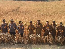 Bupati Iskandarsyah Apresiasi Kerja Keras BumDes Beruntung, Bukti Nyata Kemandirian Desa