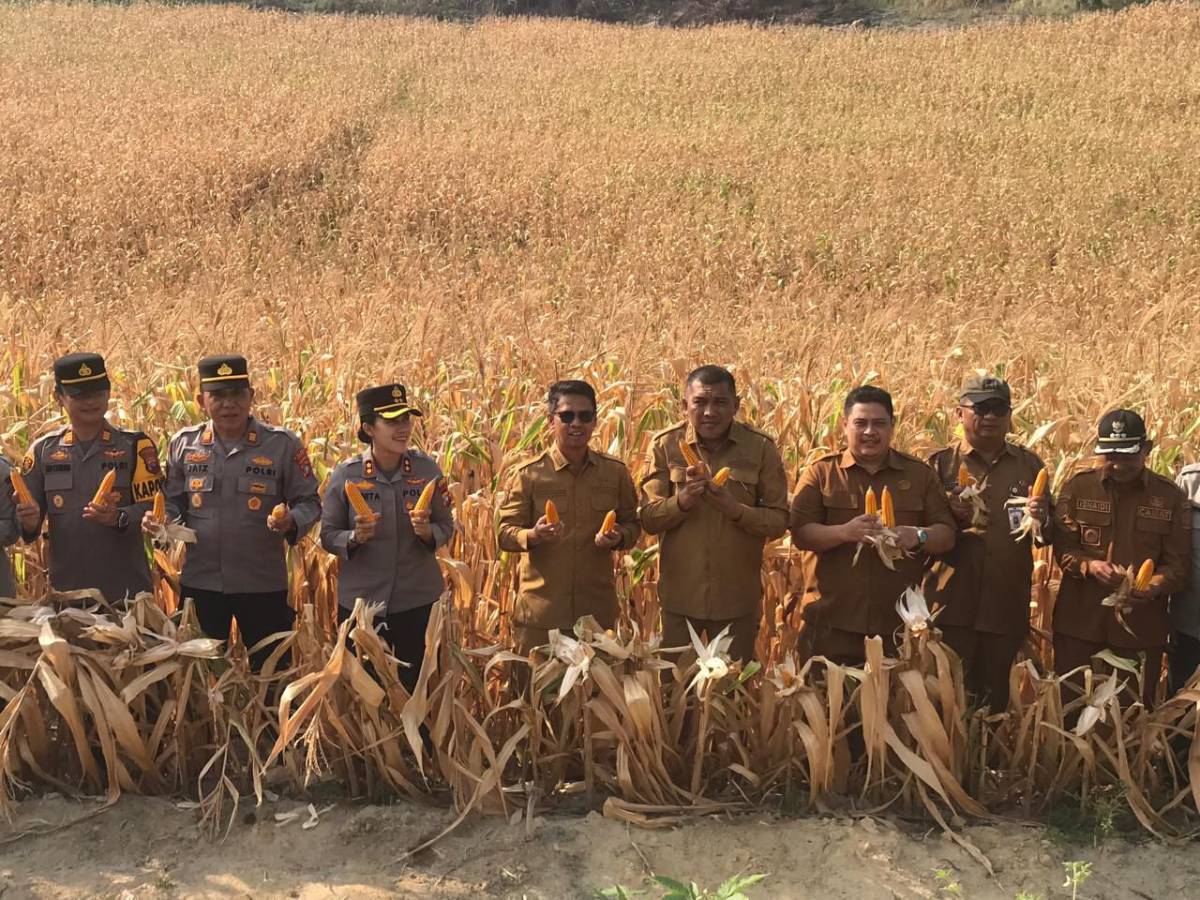 Bupati Karimun Iskandarsyah Apresiasi Kerja Keras BumDes Beruntung, Bukti Nyata Kemandirian Desa.