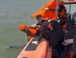 Jasad Penumpang SB Karunia Jaya Ditemukan Meninggal Dunia di Perairan Karimun
