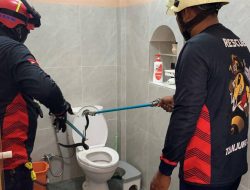 Ngeri! Petugas Damkar Tanjung Uban Evakuasi Ular Kobra dari Dalam Toilet Rumah Warga