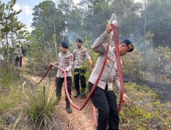 Tim Karhutla Polda Kepri Lakukan Pemadaman Lahan Terbakar di Pantai Nirwana dan Bukit Daeng