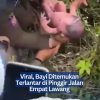 Viral, Bayi Ditemukan Terlantar di Pinggir Jalan Empat Lawang
