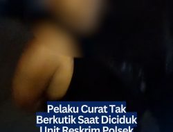 Pelaku Curat Tak Berkutik Saat Diciduk Unit Reskrim Polsek Bintan Timur