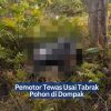 Pemotor Tewas Usai Tabrak Pohon di Dompak