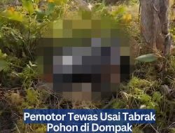 Pemotor Tewas Usai Tabrak Pohon di Dompak